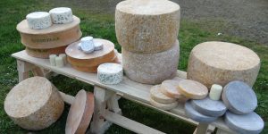 création de factices alimentaires de fromages