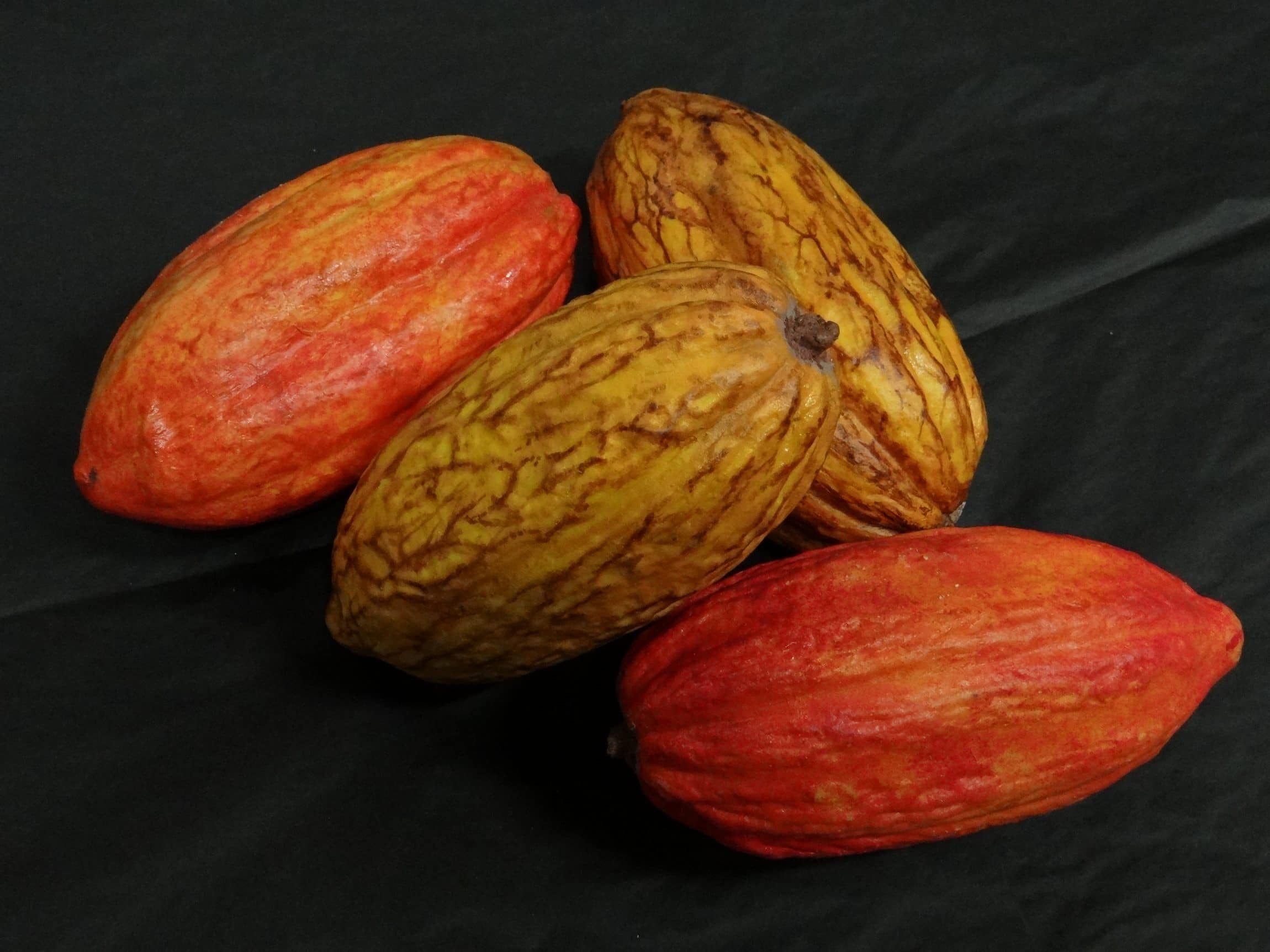 cabosses de cacao factices